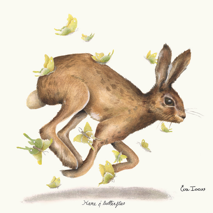 Hare & Butterflies